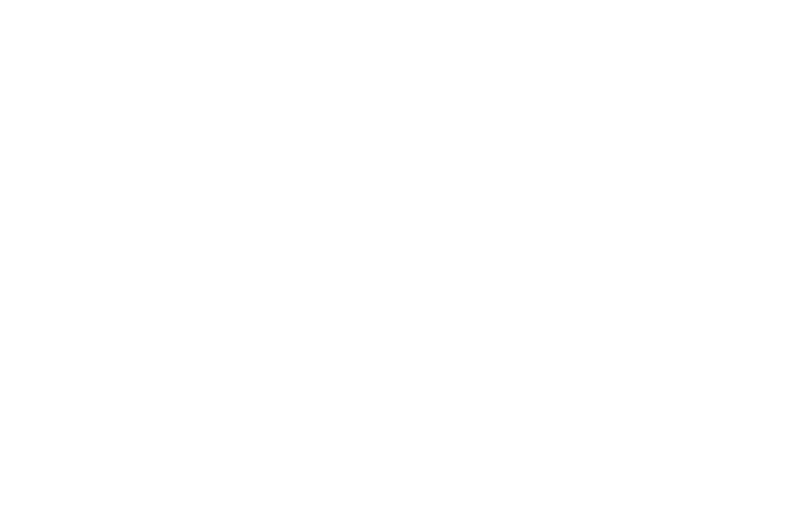 THE FLASH™ x FOSSIL